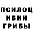 Галлюциногенные грибы прущие грибы Vladi Tretiakov